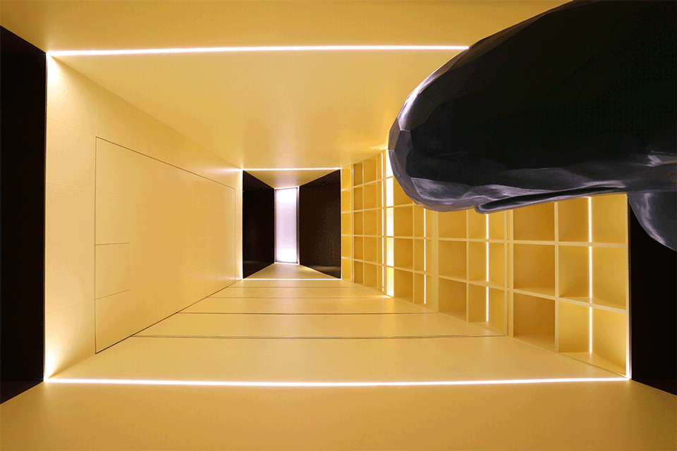 chasing light paint art space china by wusun space