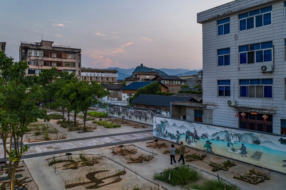 Chinese Herbal Garden DnA