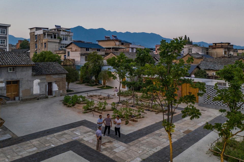 Chinese Herbal Garden DnA