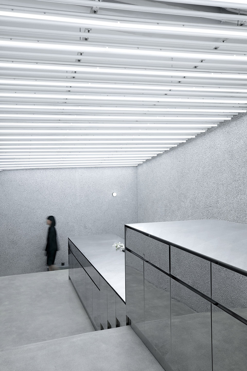 R SOCIETY 0321studio