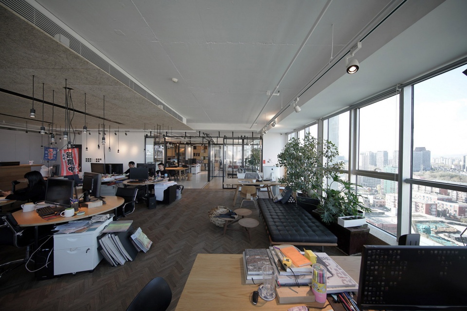 office fact Golucci