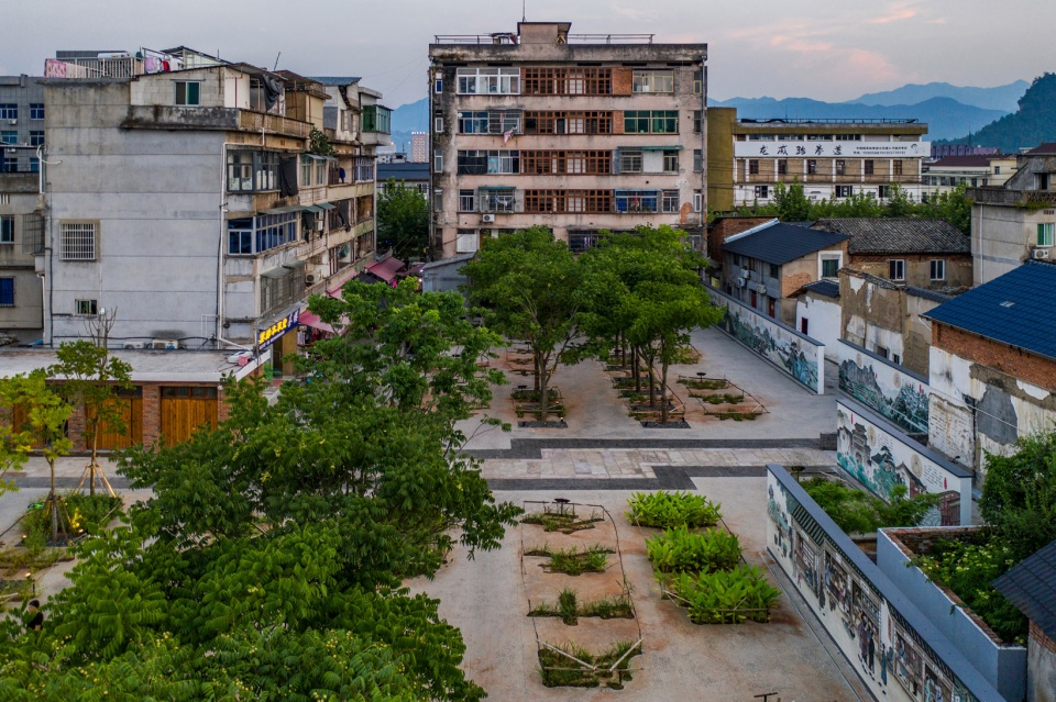 Chinese Herbal Garden DnA