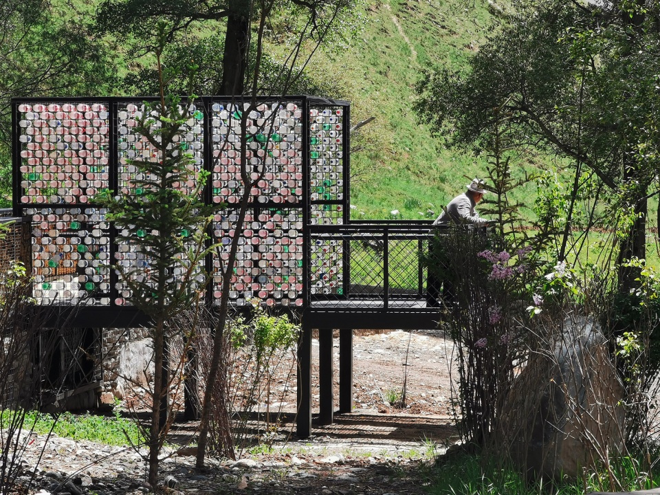 The construction of rural public space in the forest of Populus alba Qianghai by China New Rural Planning and Design