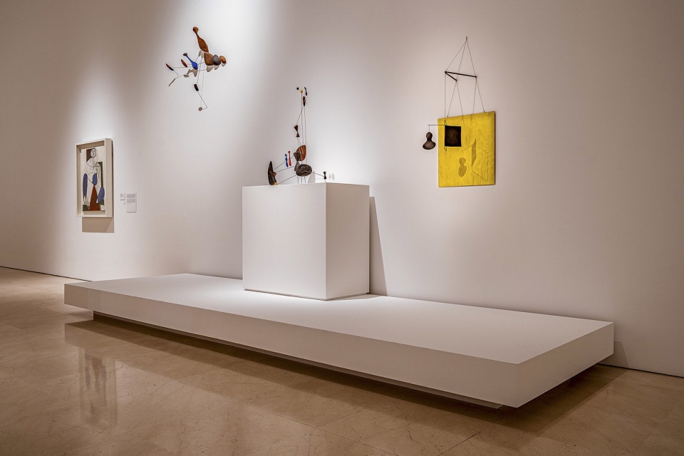 calder picasso exhibition by ooiio architecture