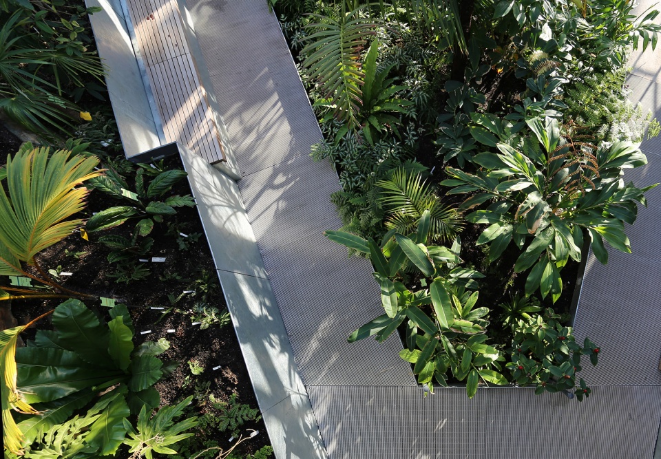 wellesley global flora conservatory by kennedy violich architecture
