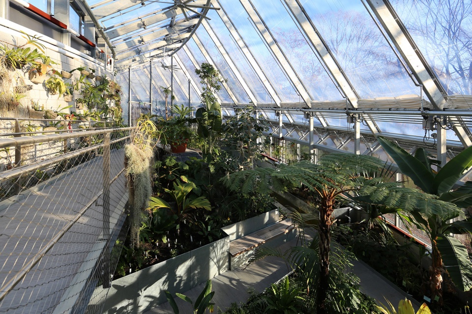 wellesley global flora conservatory by kennedy violich architecture
