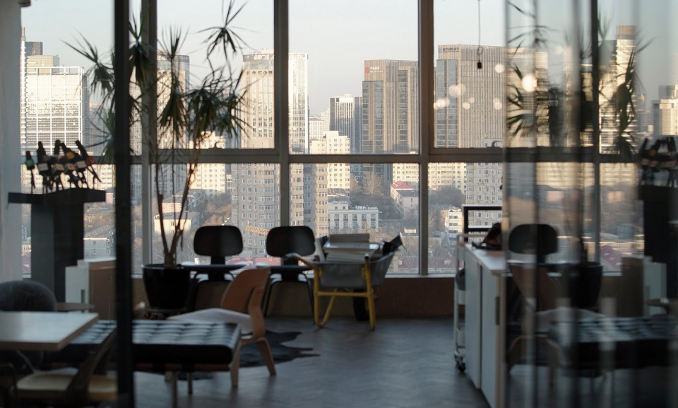 office fact Golucci