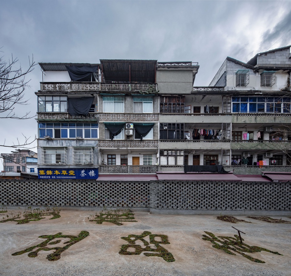 Chinese Herbal Garden DnA