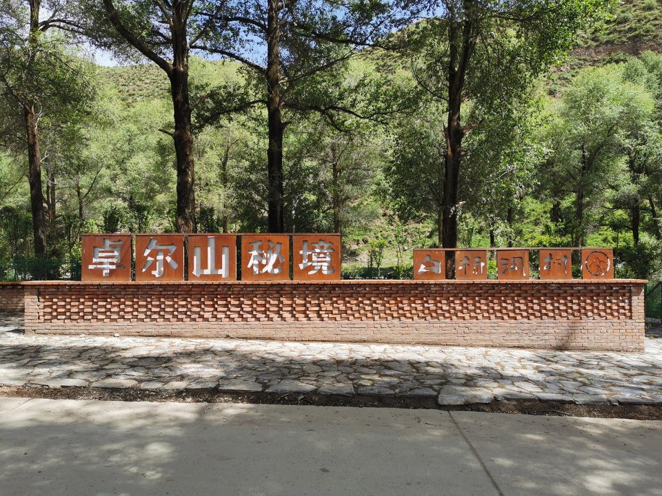 The construction of rural public space in the forest of Populus alba Qianghai by China New Rural Planning and Design