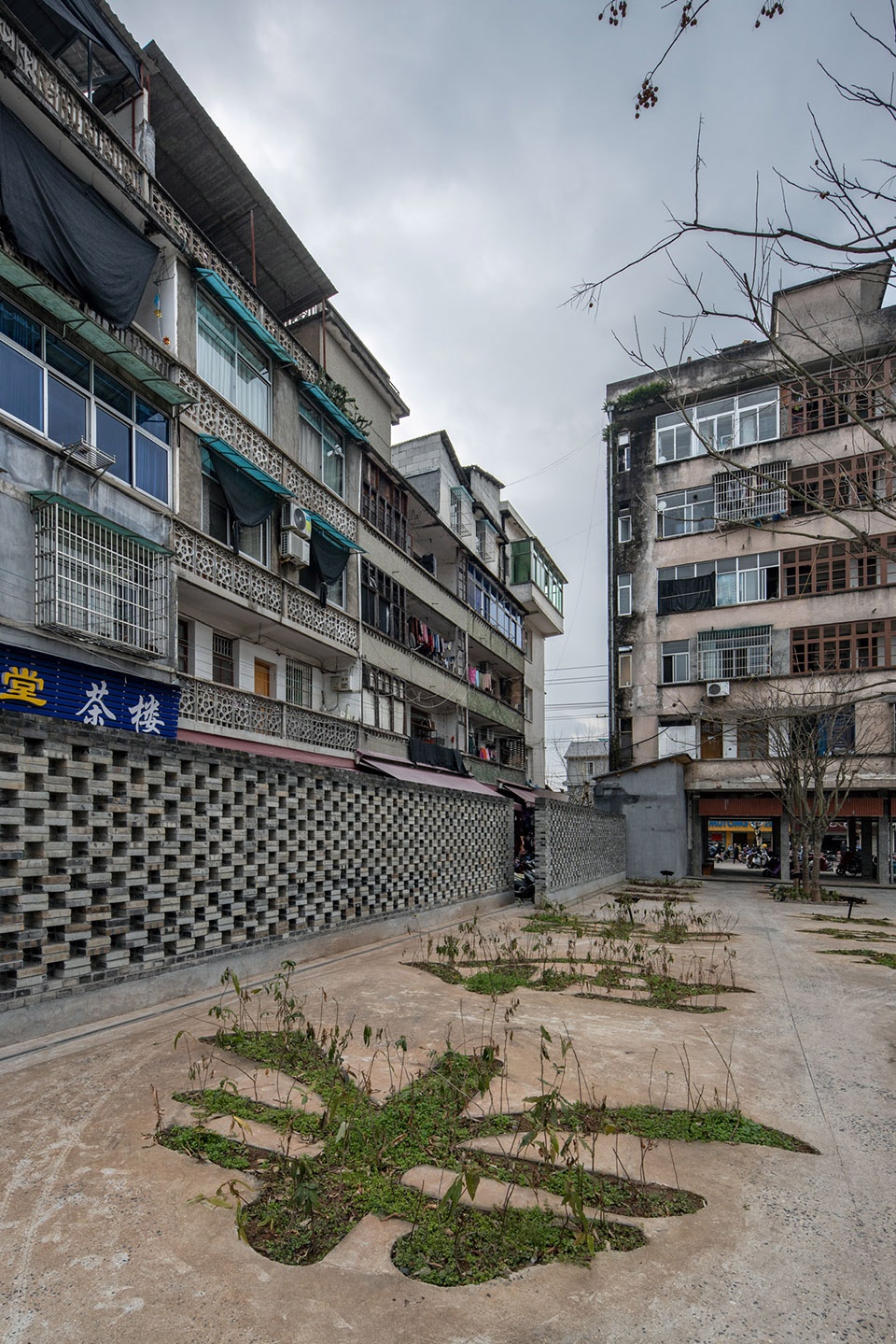 Chinese Herbal Garden DnA