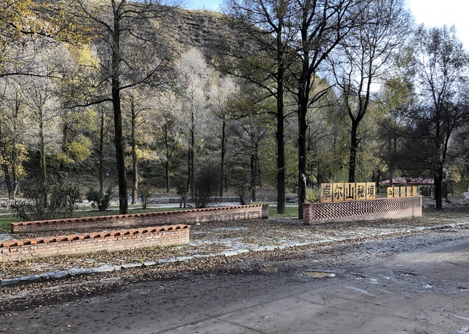 The construction of rural public space in the forest of Populus alba Qianghai by China New Rural Planning and Design