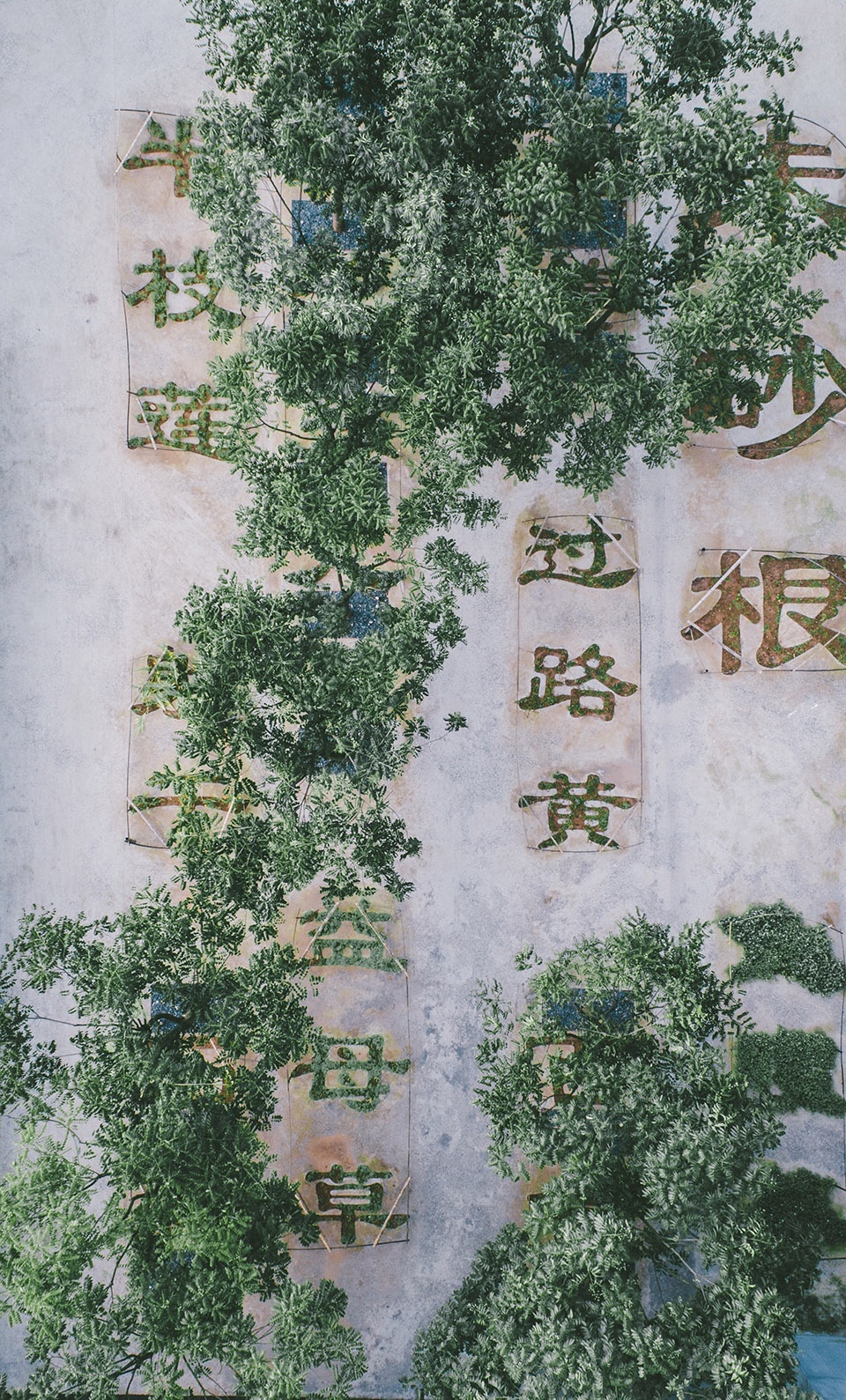 Chinese Herbal Garden DnA