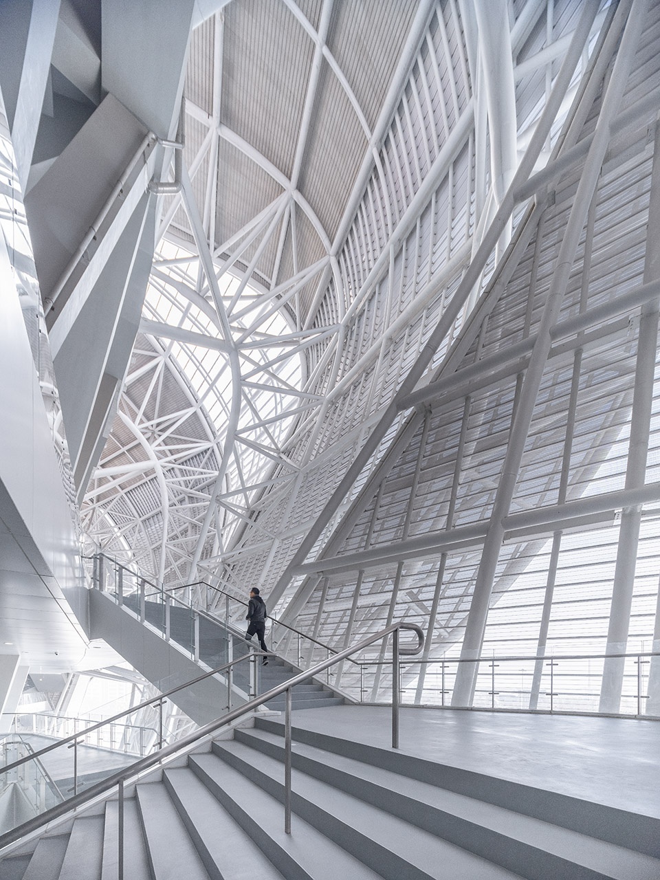 Hangzhou Olympic Sports Center by NBBJ