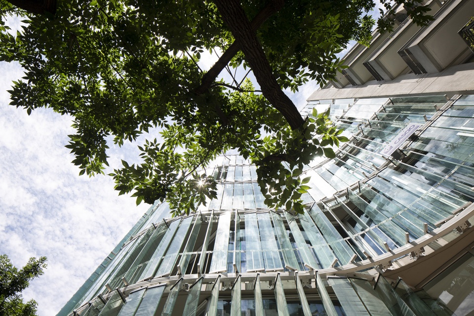 summers office building by architecture studio