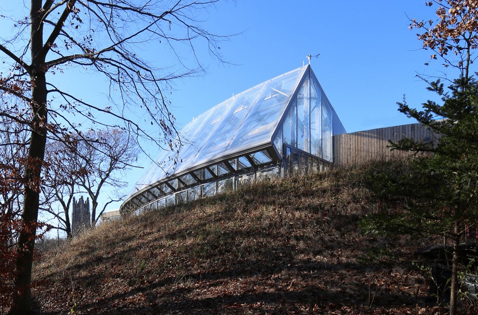 wellesley global flora conservatory by kennedy violich architecture