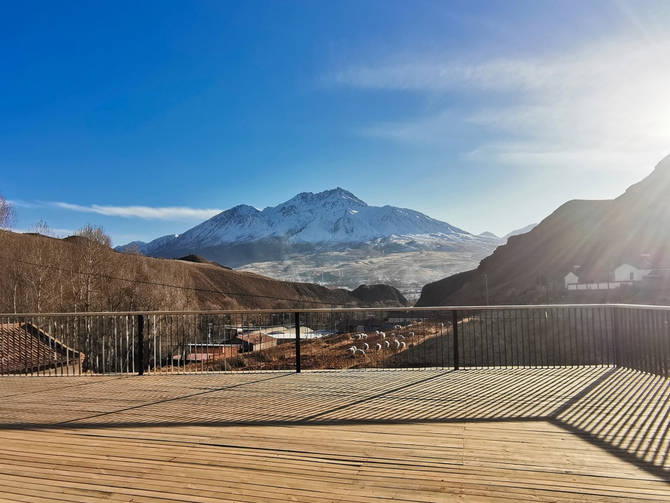 The construction of rural public space in the forest of Populus alba Qianghai by China New Rural Planning and Design