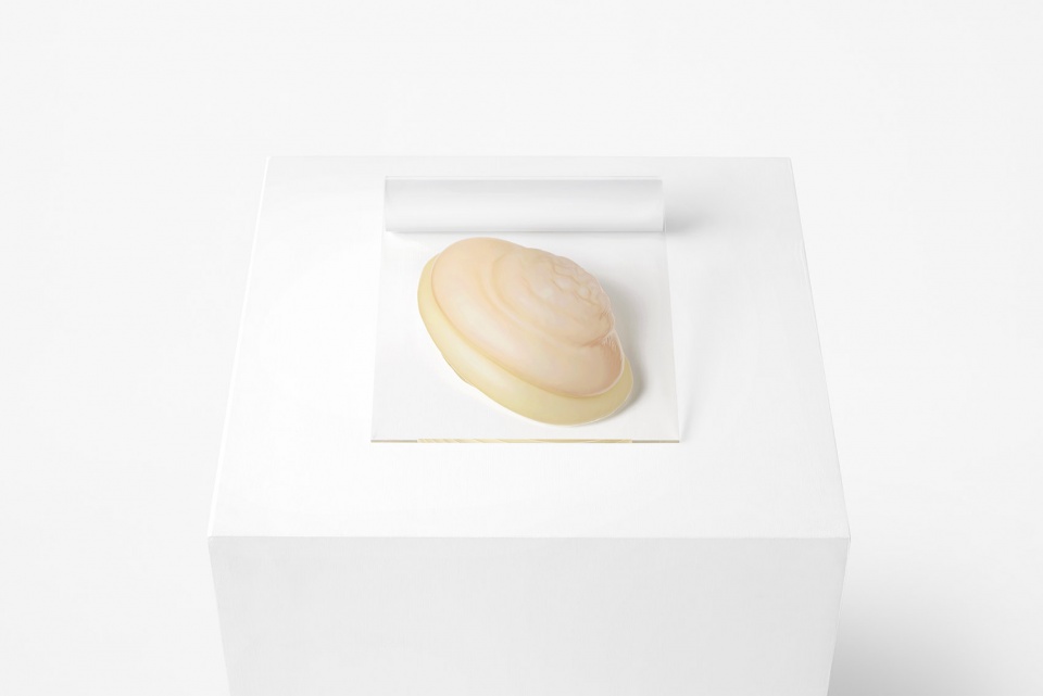Spatial and graphic design of the exhibition RESILIENCE Japen by nendo