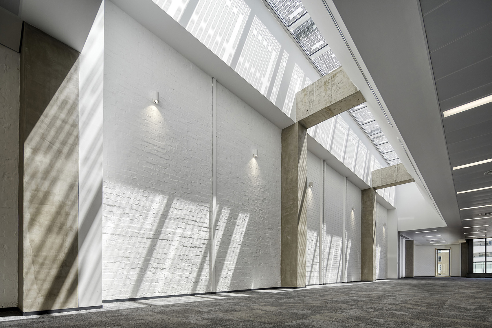 125 murray street by cox architecture