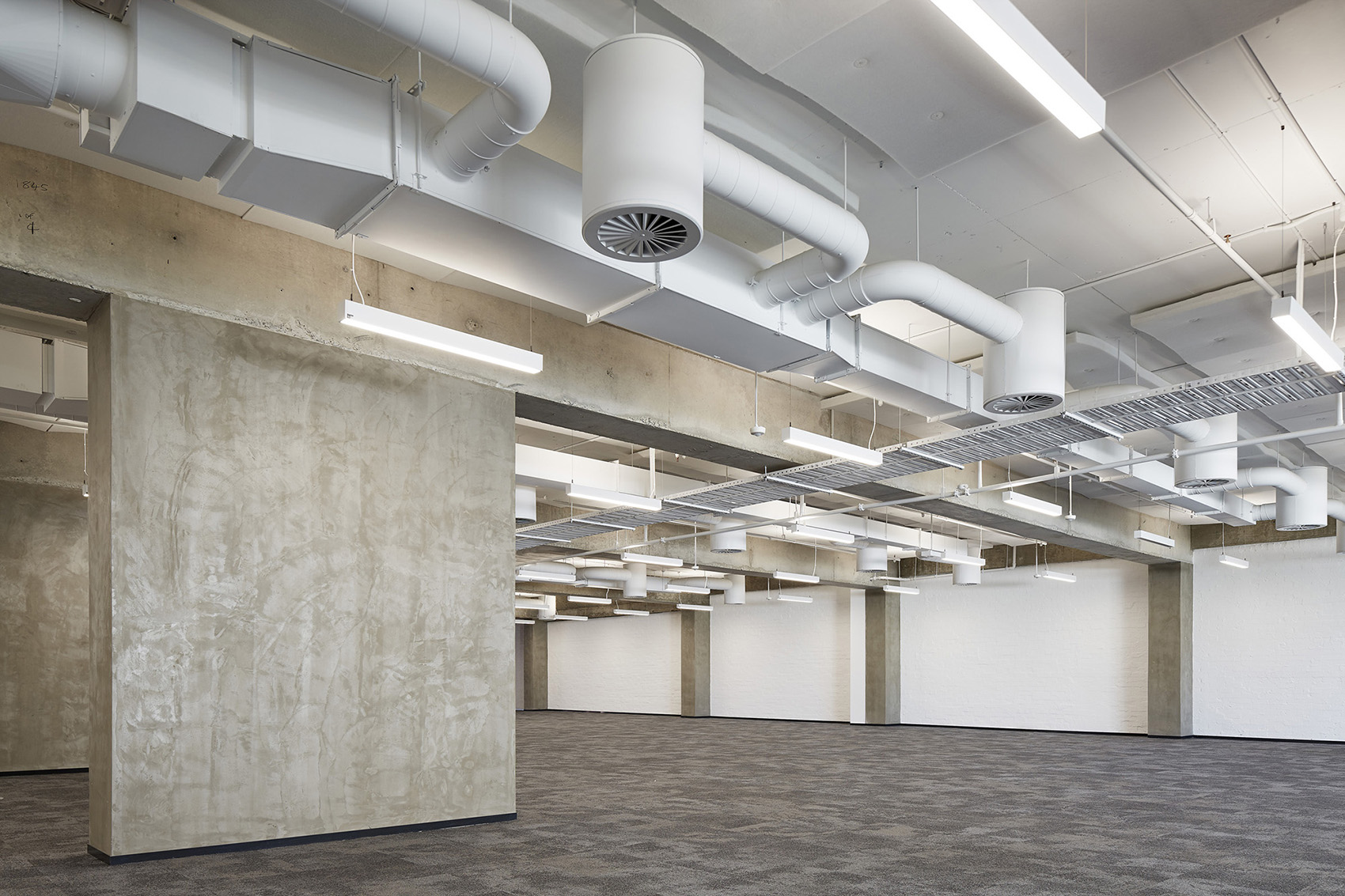 125 murray street by cox architecture