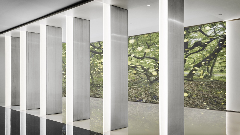 lingdi office china by wj design