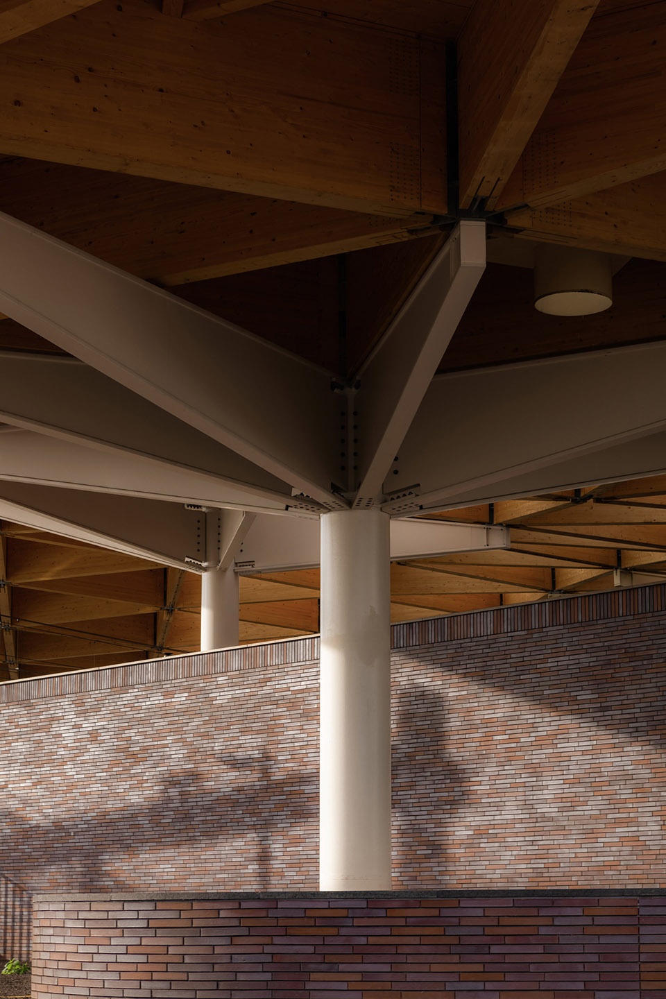 assen station by powerhouse company de zwarte hond