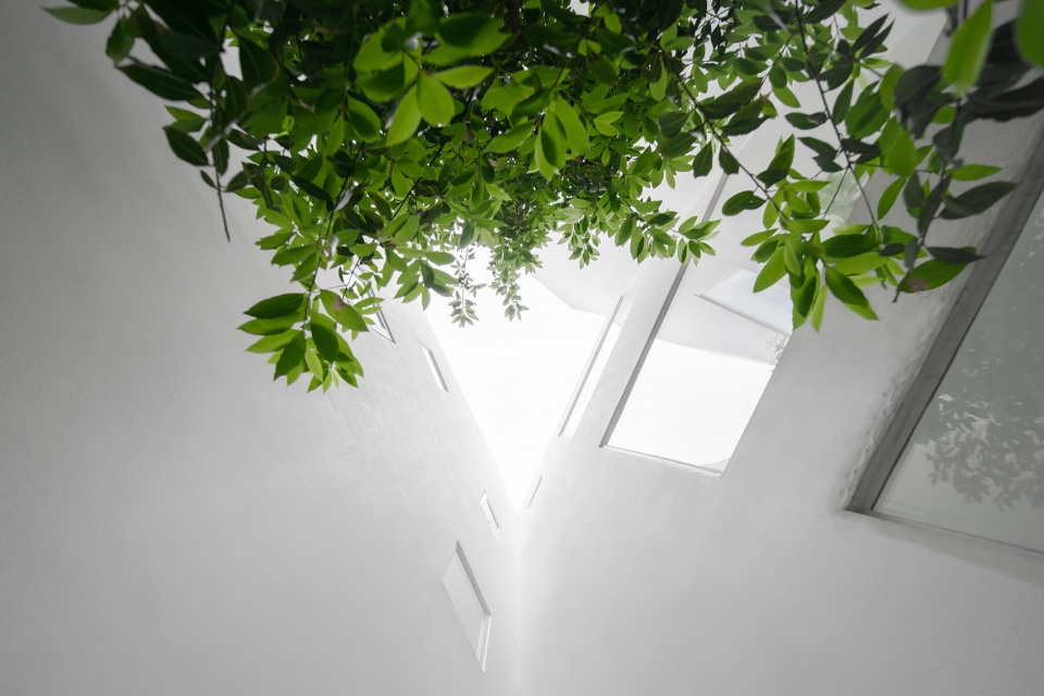 l house china by ams