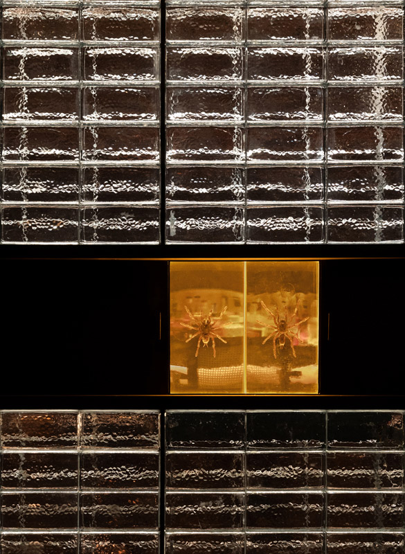secret bar Atelier xy