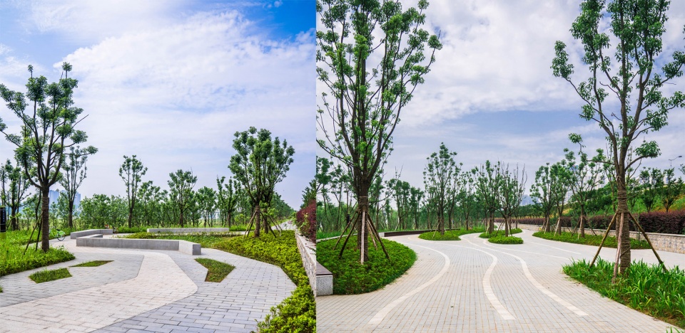 Marshland Park along Xiangjiang River Changsha by LA Design