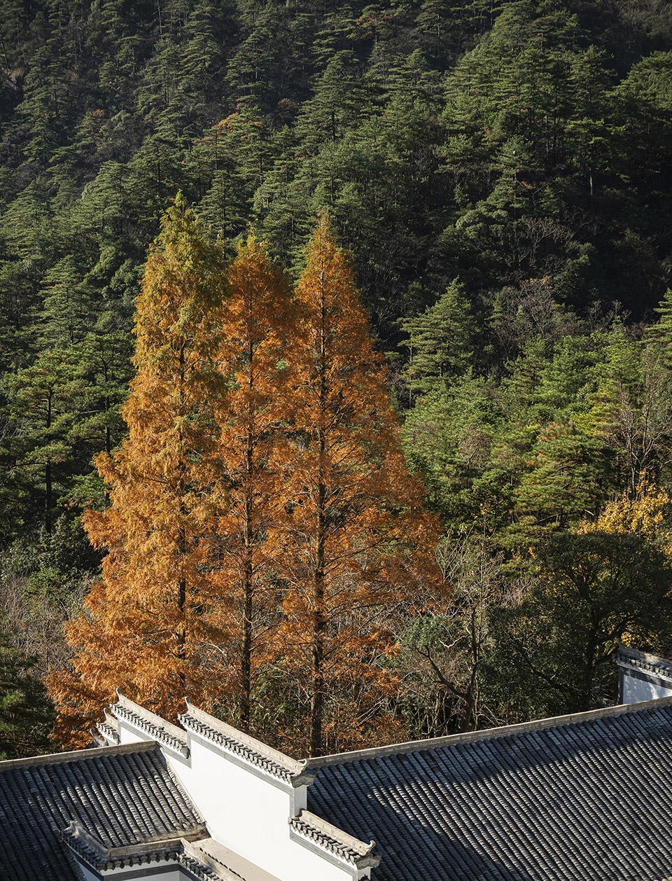 Sunriver Resort Spa Huangshan by Cheng Chung Design
