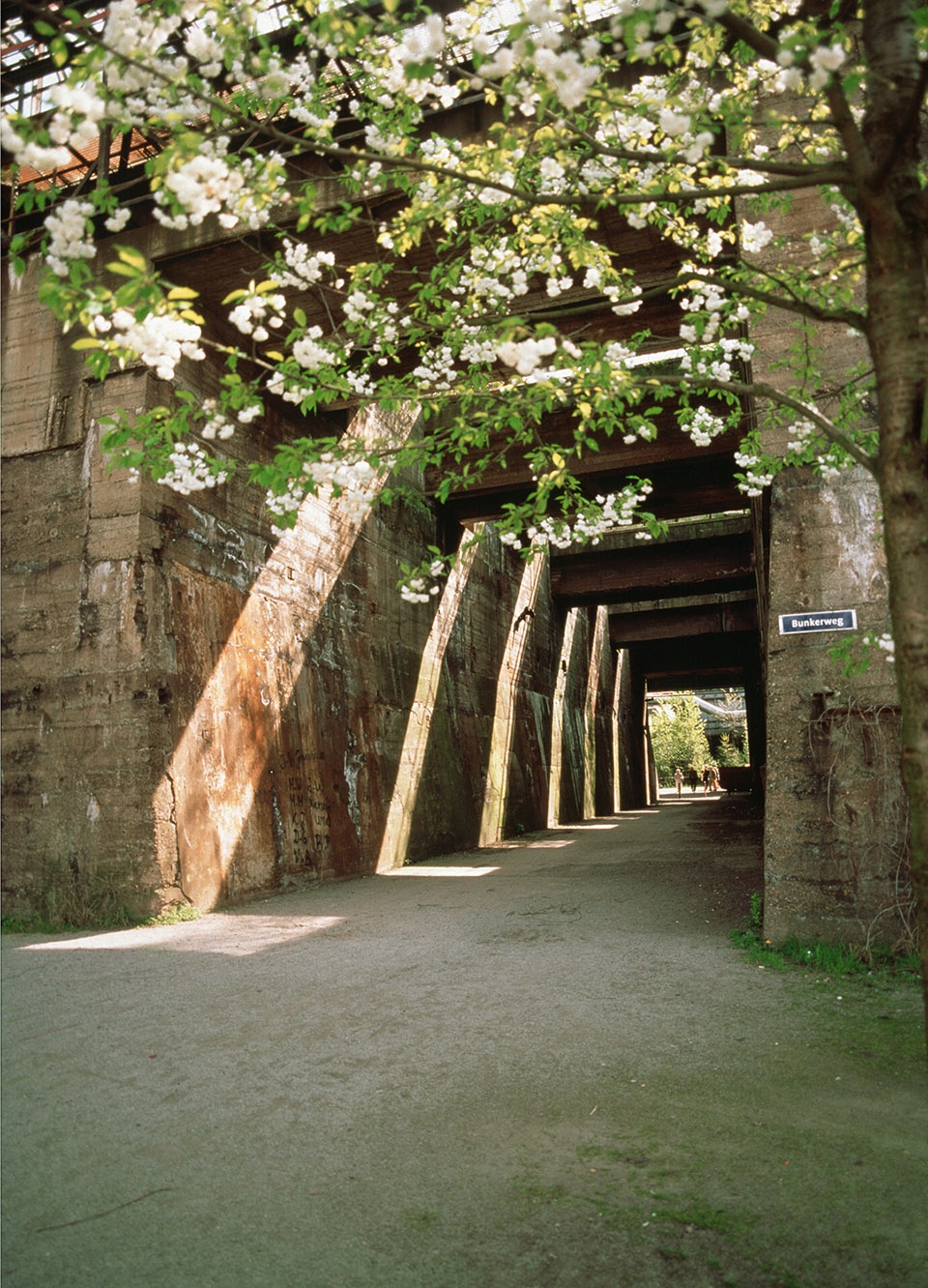 Bunker Gallery