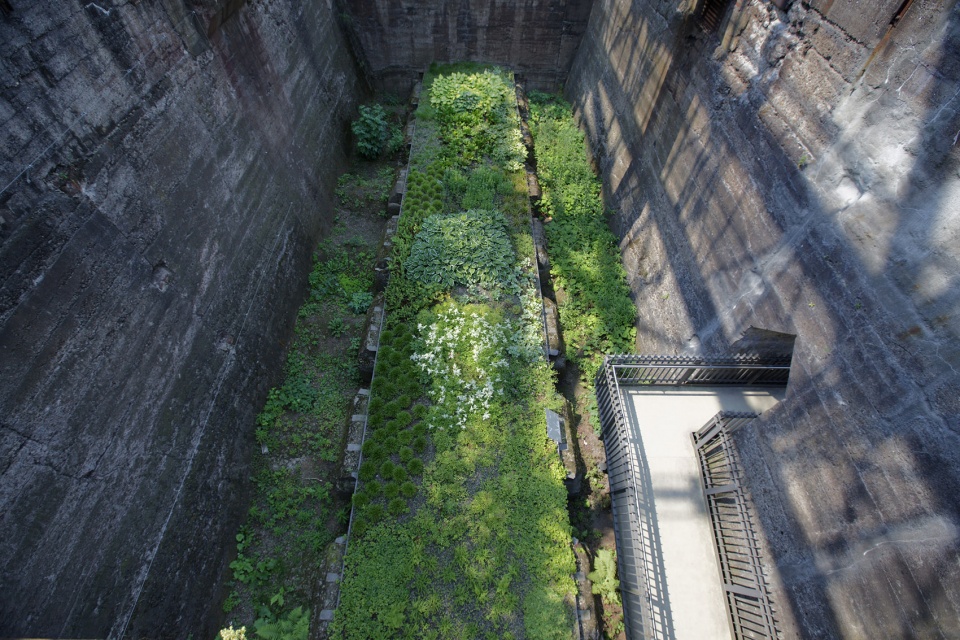 NODU DUBU Ort Bunkergalerie Garten 20150704 171 ML 300