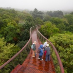 gooood archive: South Africa