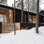 Roschino住宅，俄罗斯 / AB CHVOYA