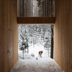 Roschino住宅，俄罗斯 / AB CHVOYA
