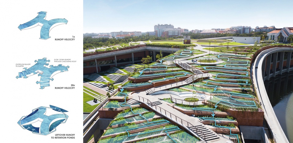thammasat university rooftop farm landprocess