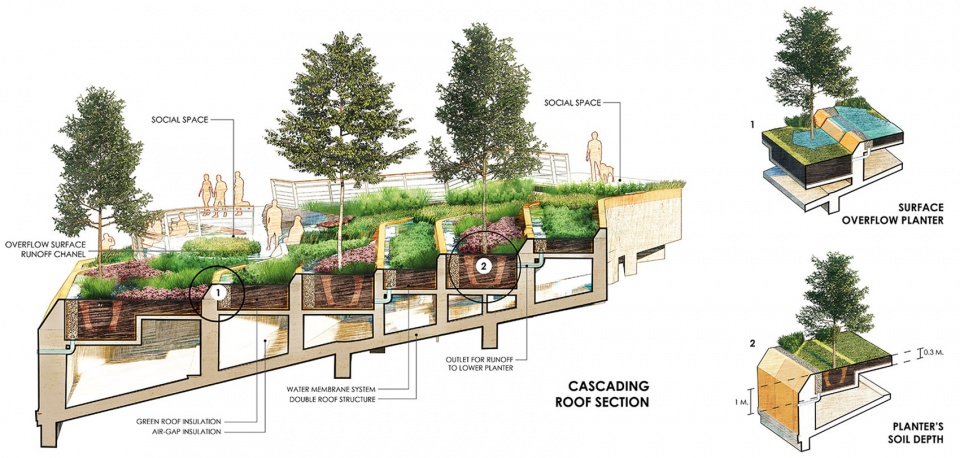 thammasat university rooftop farm landprocess