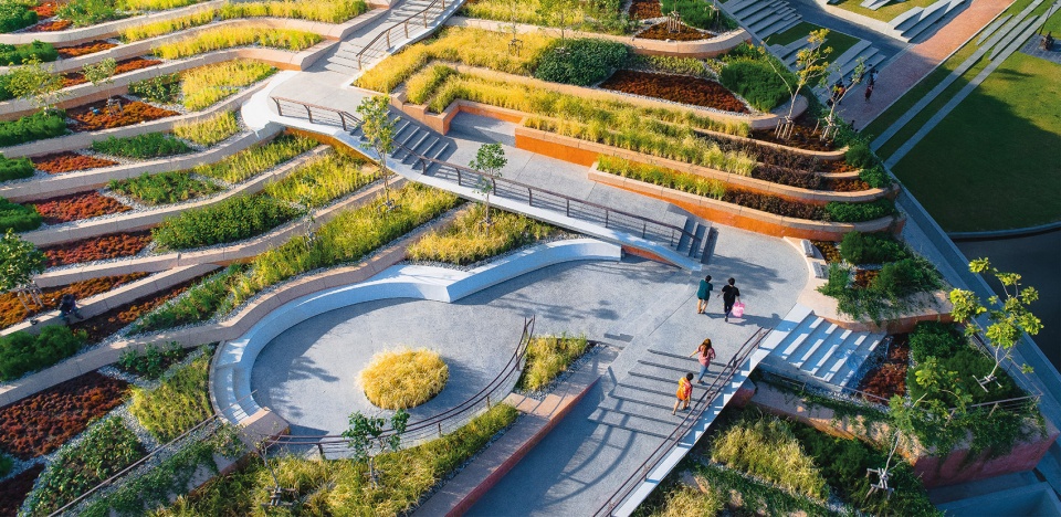 thammasat university rooftop farm landprocess