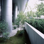 心照庭，上海 / 七月合作社