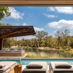 gooood archive: South Africa