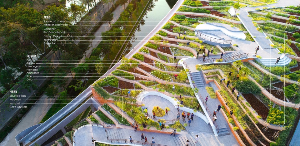 thammasat university rooftop farm landprocess