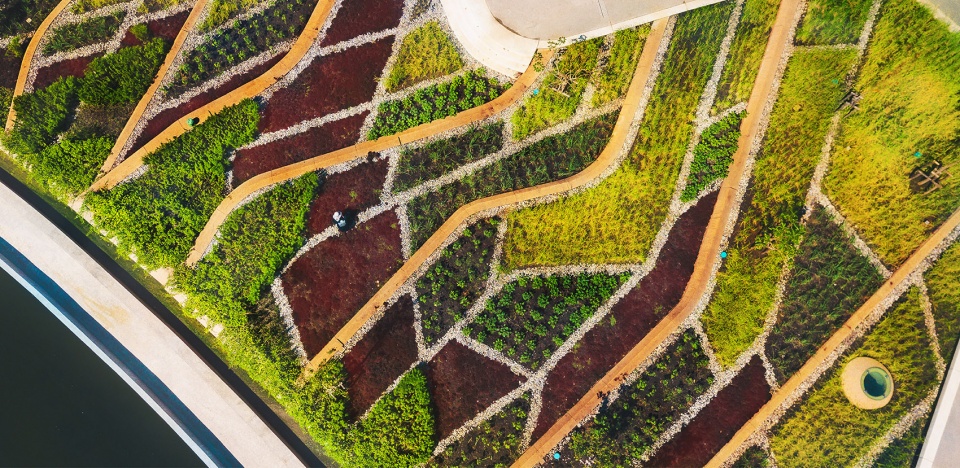 thammasat university rooftop farm landprocess