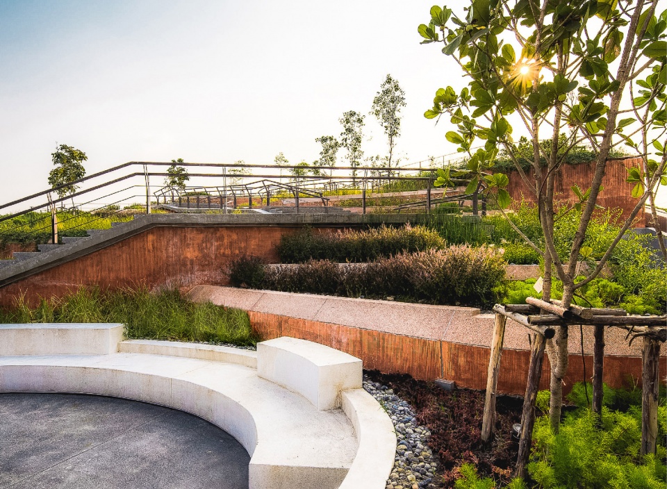 thammasat university rooftop farm landprocess