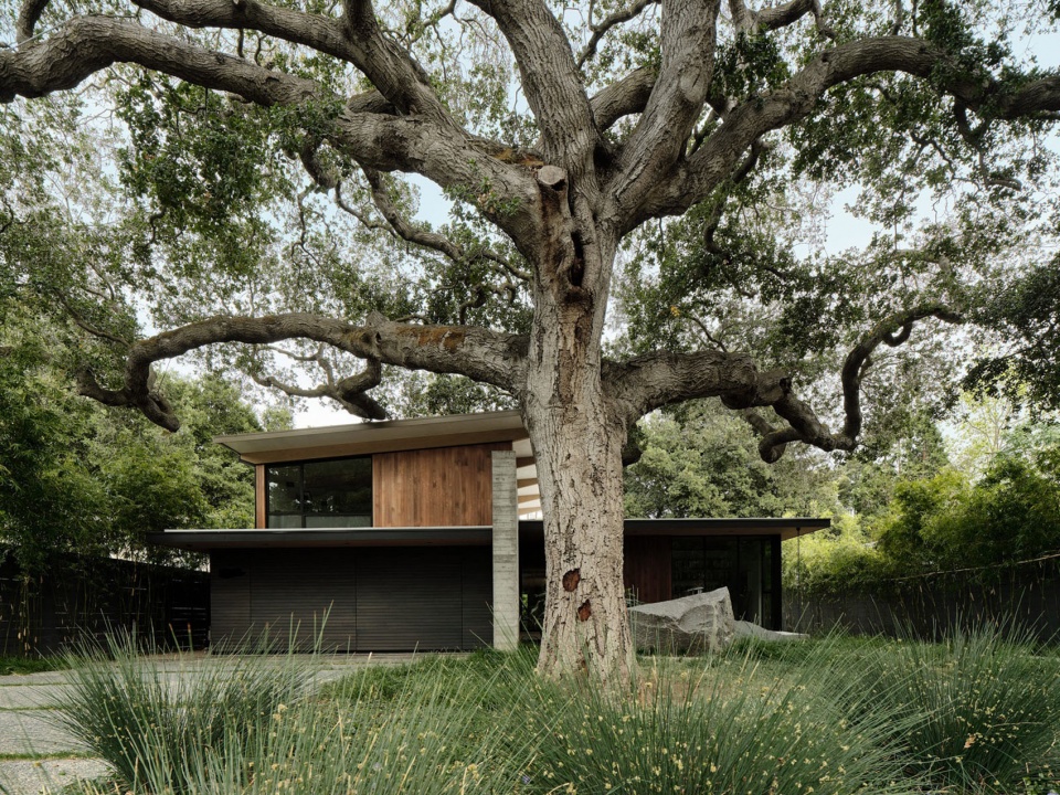 the sanctuary feldman architecture