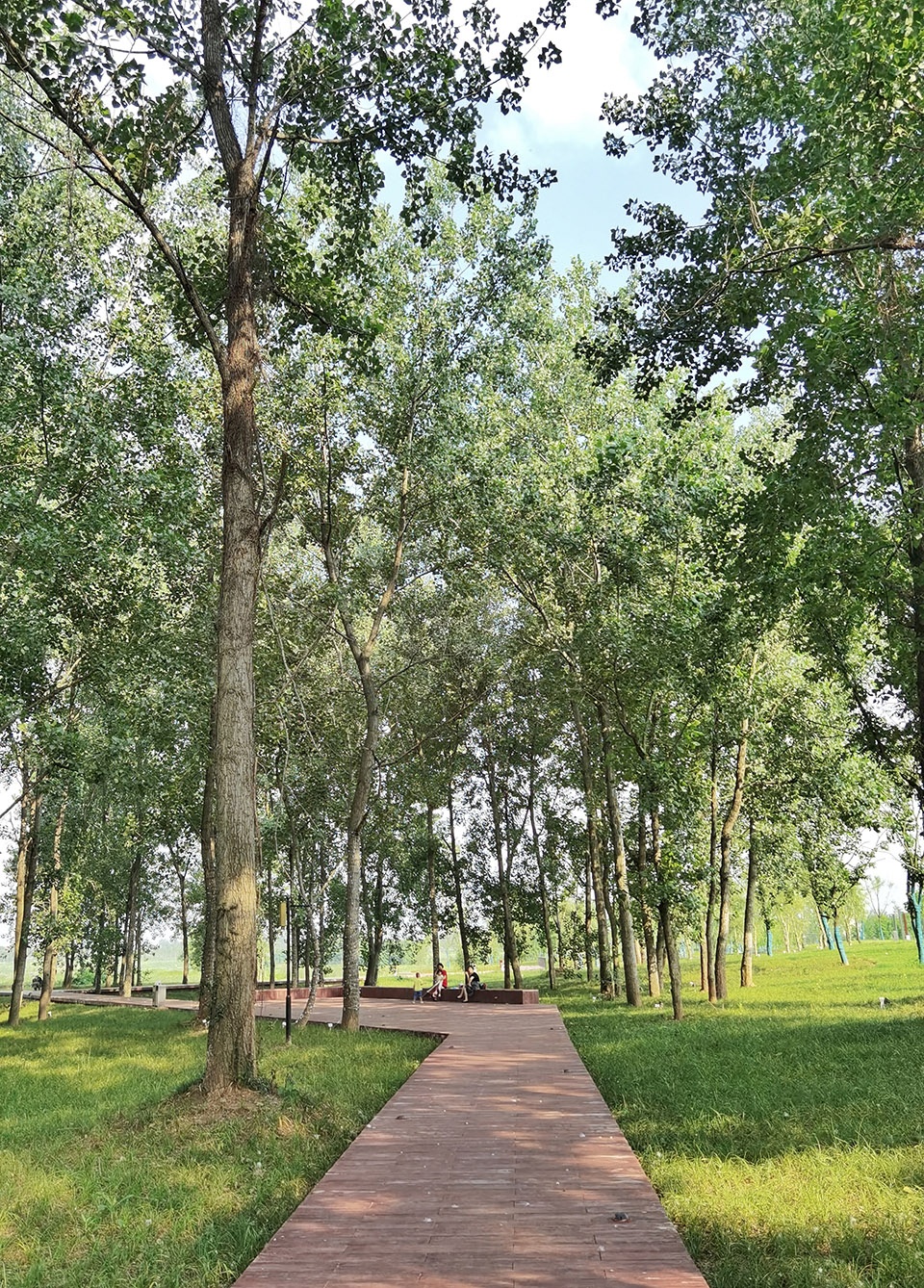 comprehensive treatment engineering of liulin park section linli national wetland park china by palm design