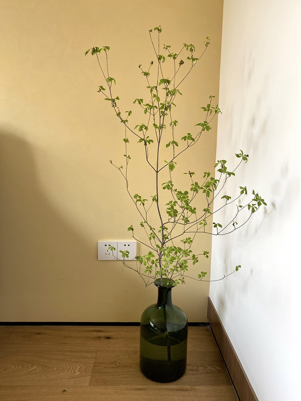 residence in shanghai XuTai Design