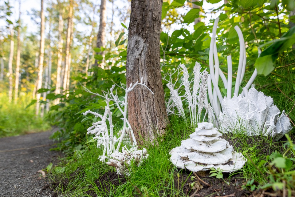 international garden festival 2020
