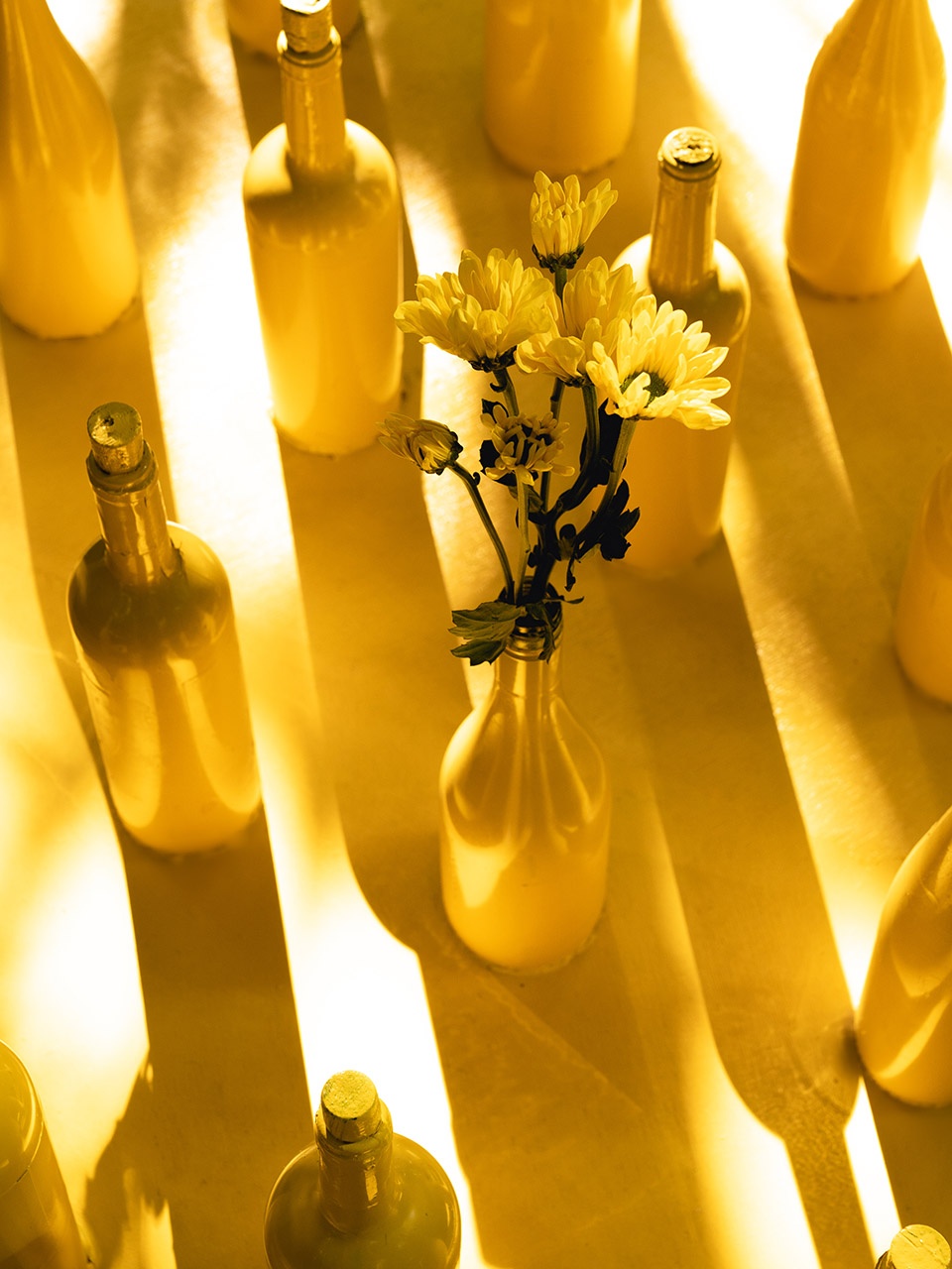 TULIP Your Place at the Table ADHOC Architects