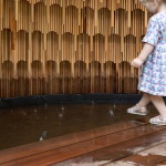 雨放大器，比利时 / Matthijs la Roi Architects