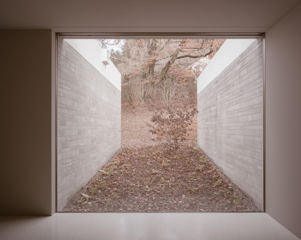 house in a park by think architecture