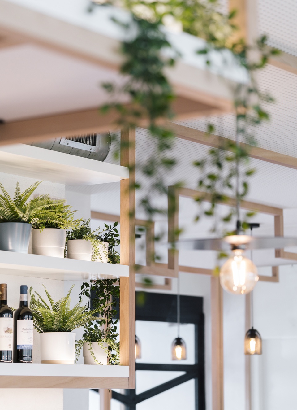 restaurant la hermosa by zooco estudio 1